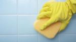 Royal Flush - Bathroom Cleaning Tips