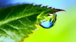 5 Tips for Greener Cleaning