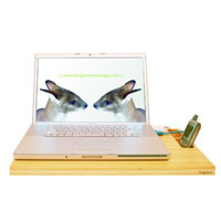 KangaRoom Bamboo Laptop Workstation