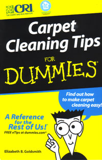 Carpet Cleaning Tips for Dummies by Elizabeth Goldsmith