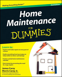 Home Maintenance for Dummies (2nd Edition) by James Carey and Morris Carey Jr.