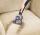 Bissell Pet Hair Eraser